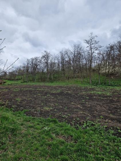 Casă individuală cu 2 camere cu Teren 4260 Mp în Periferie