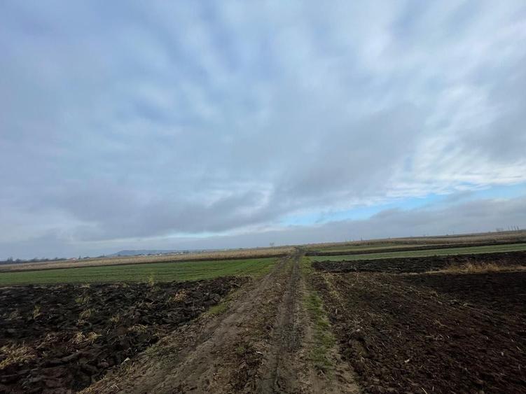 Teren agricol extravilan de 1300 mp, în Marginea