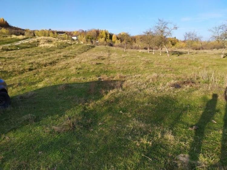 Teren intravilan DE VÂNZARE, NEGOCIABIL, Campina (jud Prahova), cartier Voila - 8