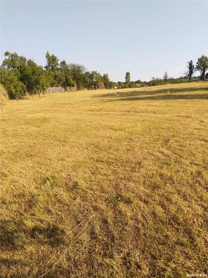 Teren de 2100 mp, în Rădăcinești