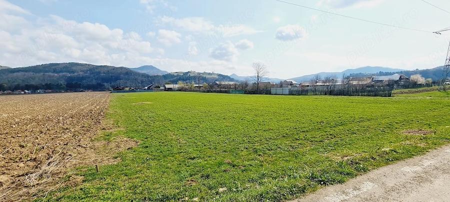 Teren de 8906 mp, în Dofteana