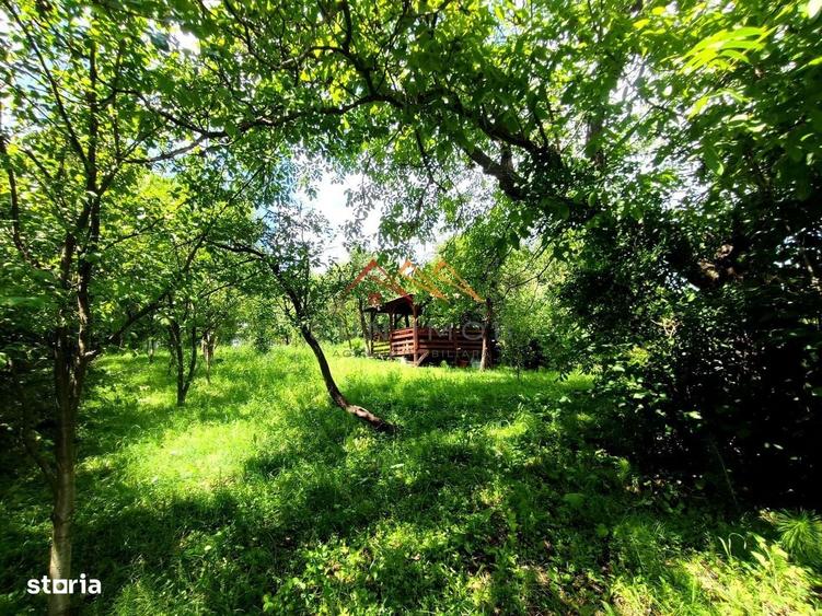 Casă cu 3 camere în Poiana