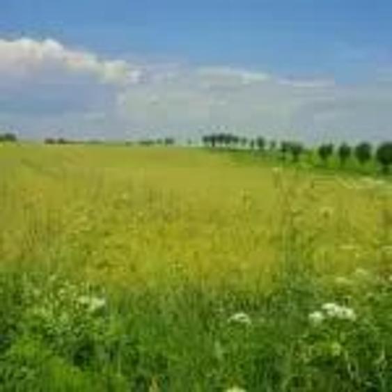 Teren de 3300 mp, în Urleta
