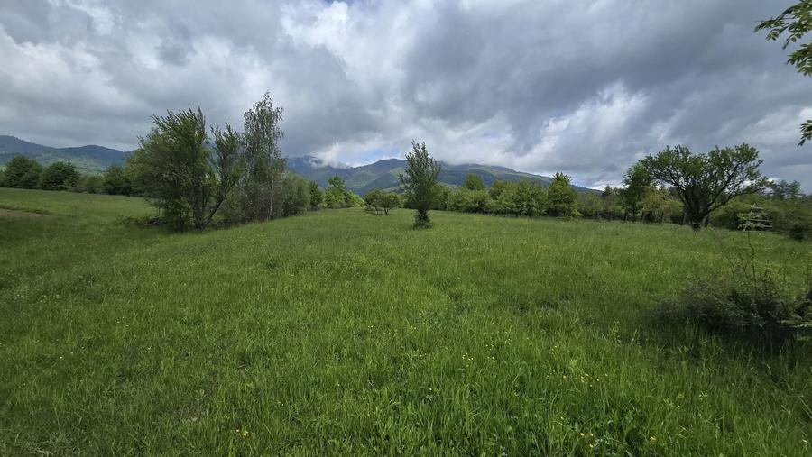 Teren Construcții intravilan de 715 mp, în Prundu Bârgăului