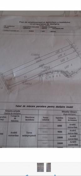 Teren de 9000 mp, în Gepiu