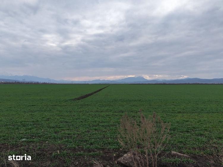 Teren de 20000 mp, în Central