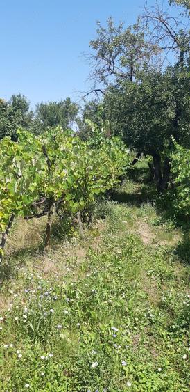 Casă cu 3 camere în Suplacu de Barcău