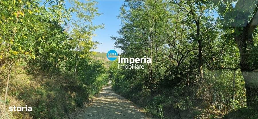 Spațiu comercial, în Rusenii Noi