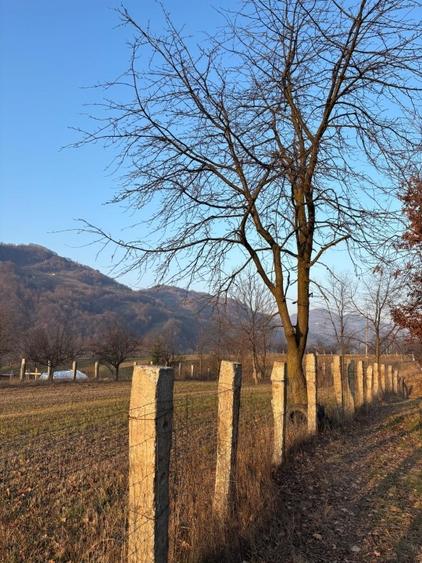 Teren agricol intravilan de 3111 mp, în Feldru