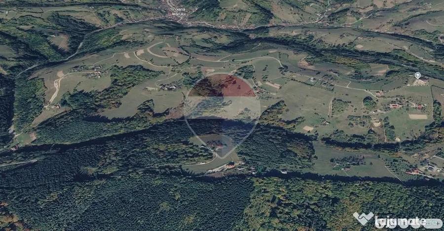 Teren extravilan Poiana Marului 1092mp, inconjurat de padure - 6