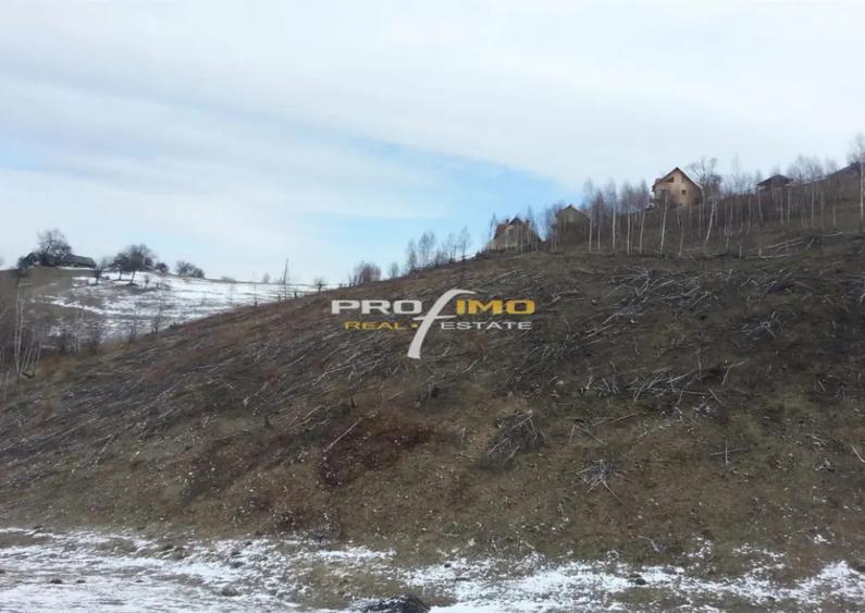 Moeciu, Drumul Carului, teren 3750 mp, 75000 euro - 6