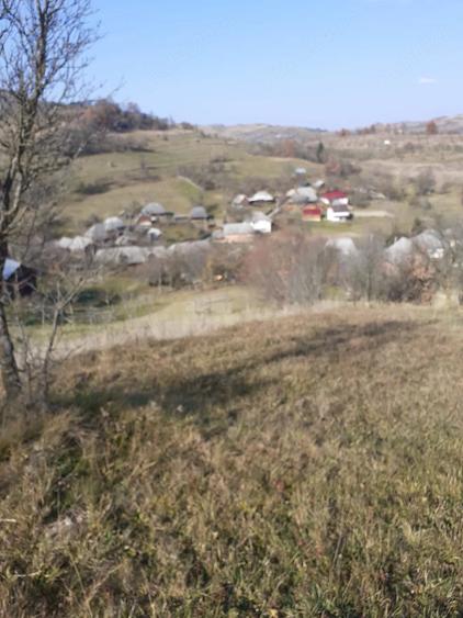 Teren de 2000 mp, în Poienile Izei