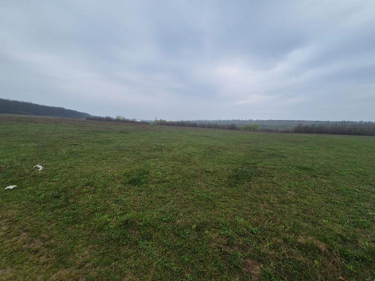 Teren extravilan de 10070 mp, în Lipoveni