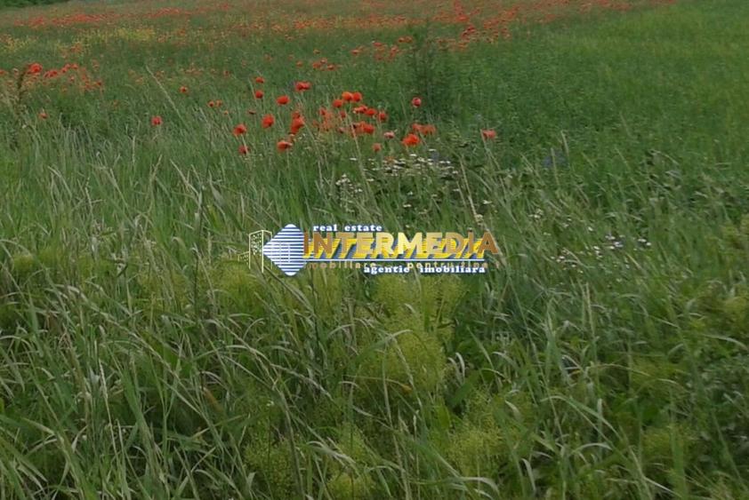 Teren Construcții intravilan de 600 mp, în Cetate