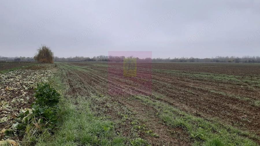 Teren de 2250 mp, în 1 Decembrie