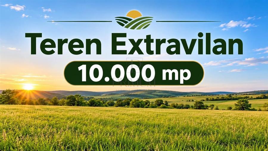 Teren agricol extravilan de 10000 mp, în Rudicica