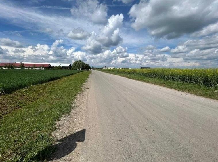 Teren agricol extravilan de 17000 mp, în Moara Vlăsiei