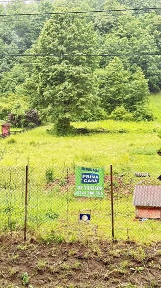 Teren Construcții intravilan de 6200 mp, în Tăuții-Măgherăuș