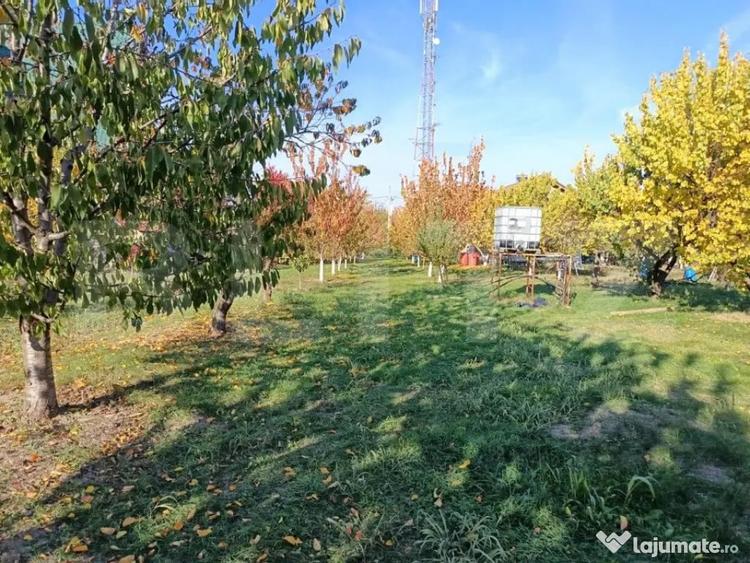 Teren de 6360 mp, în Măgurele