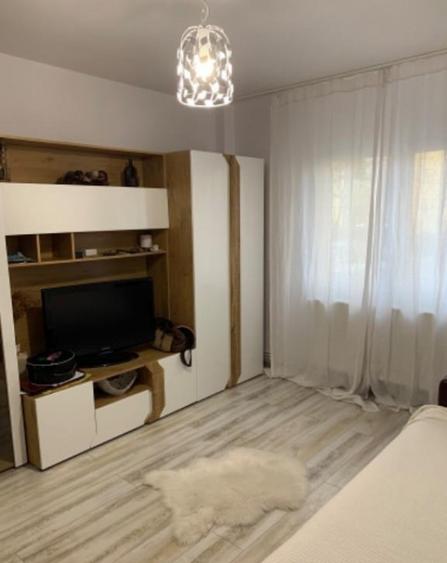 Inchiriere apartament cu o camera Take Ionescu - 3