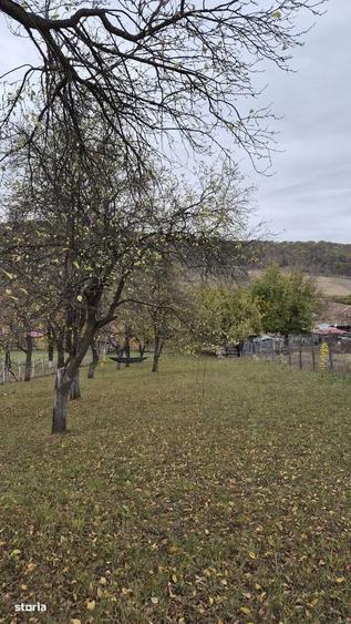 Casă cu 3 camere semidecomandat în Meșendorf