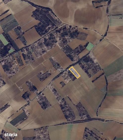 Teren de 3000 mp, în Biharia
