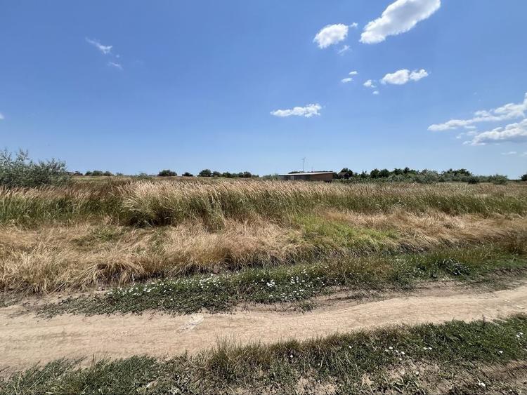 Teren de vanzare Navodari 500 mp | Strada Campului | Ideal pentru casa sau duplex - 3