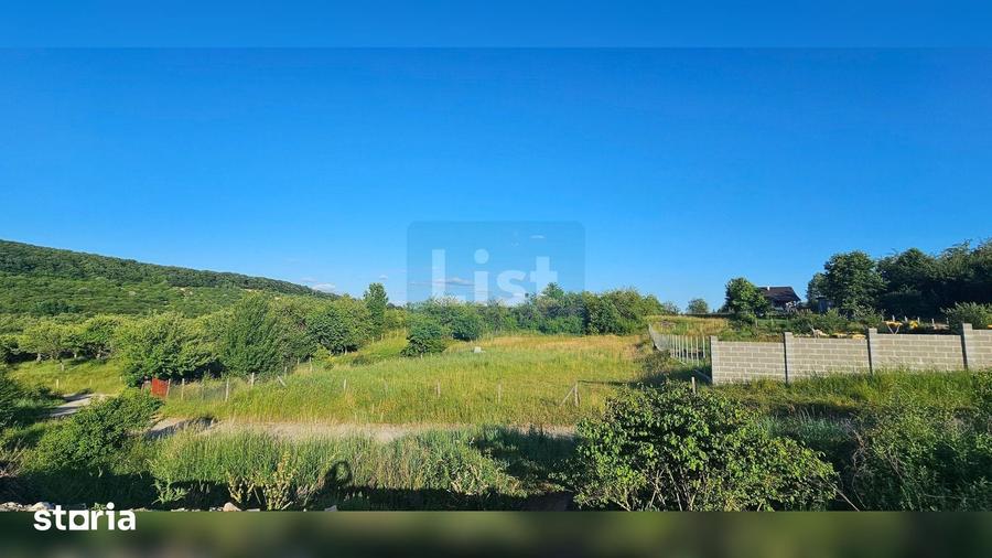 Teren de 1300 mp, în Dumitra