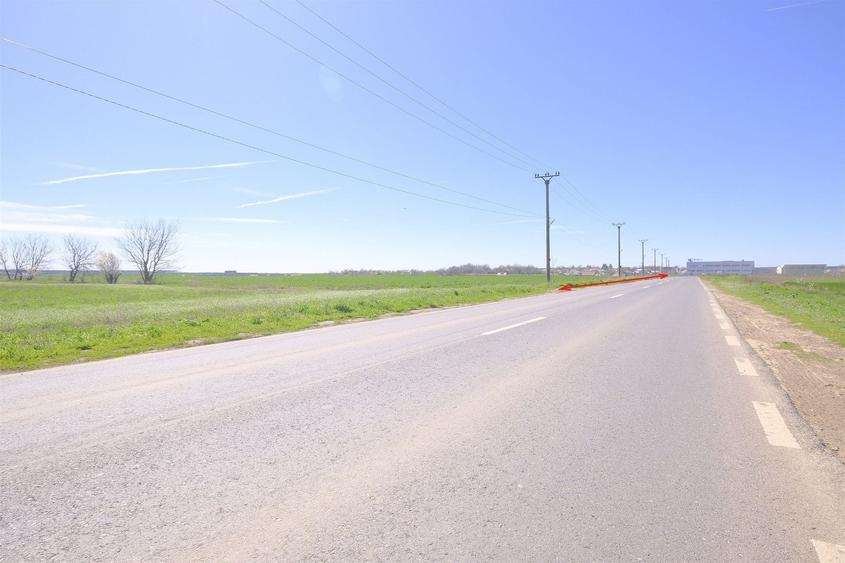 Teren Construcții intravilan de 65000 mp, în Dascălu