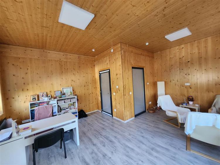 Birou, de 329 mp, în George Enescu