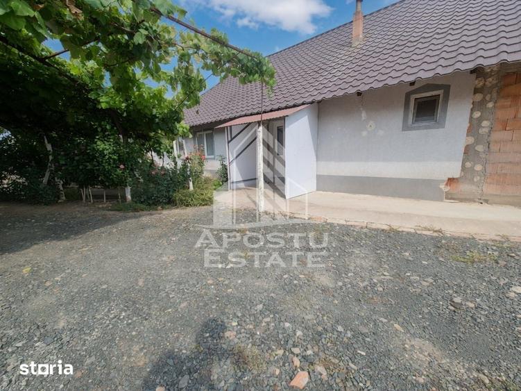 Se vinde casa in Teremia Mare, renovata, teren generos de 1.439 mp - 13