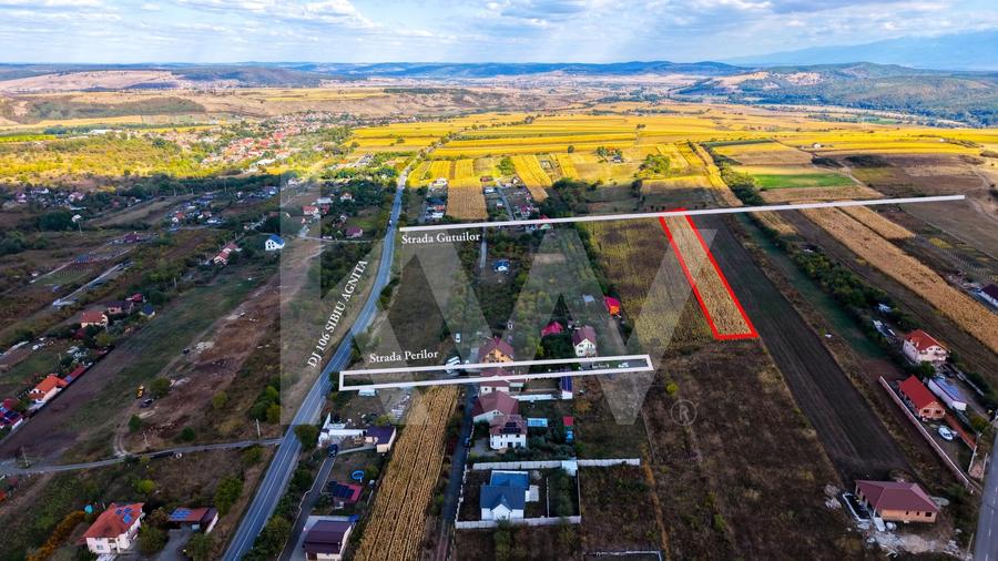 Teren agricol extravilan de 5000 mp, în Daia