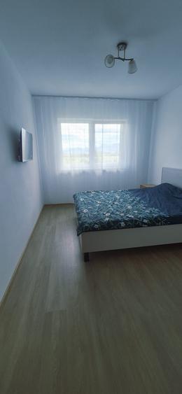 Studio/Apartament de inchiriat Subcetate Sanpetru Brasov - 5