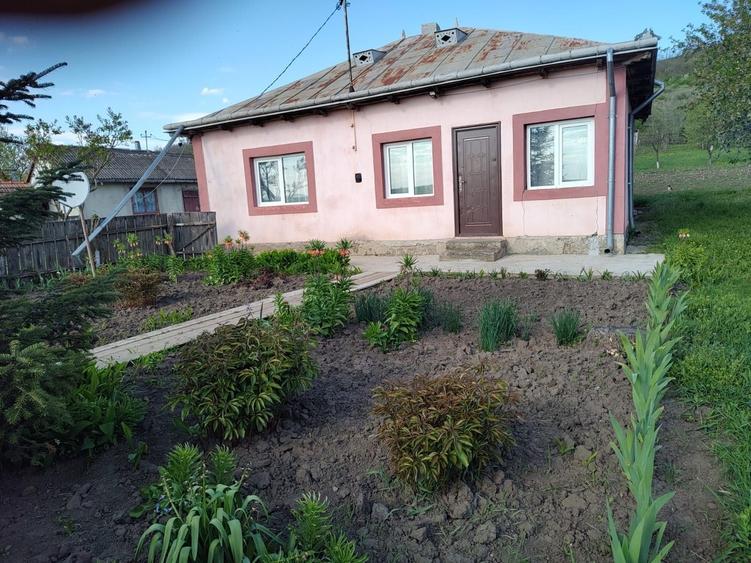 Casă cu 3 camere în Andrieșeni