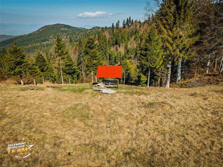 Teren Construcții intravilan de 5800 mp, în Ojdula