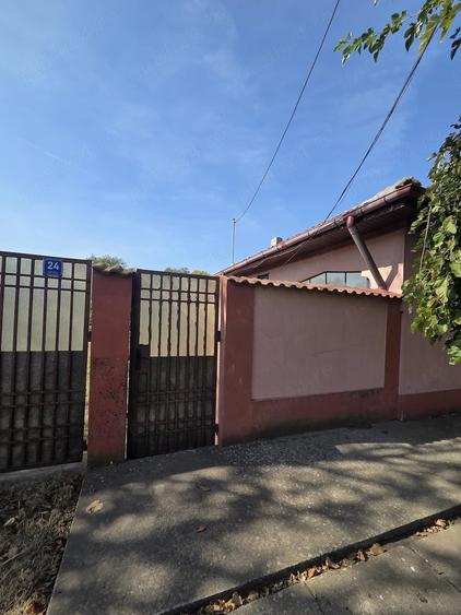Casă cu Teren 1600 Mp în Viișoara