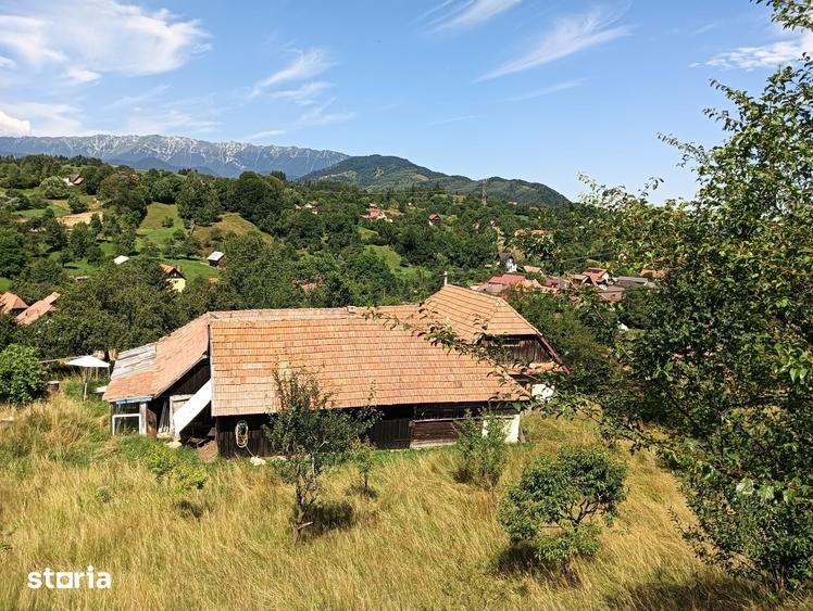 Teren de 3980 mp, în Bran
