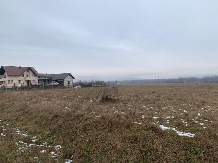 Teren Construcții intravilan de 2000 mp, în Părhăuți