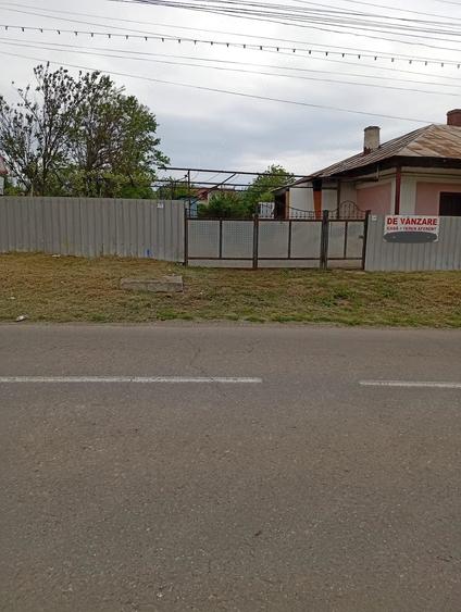 Casă cu Teren 4000 Mp în Moldoveni