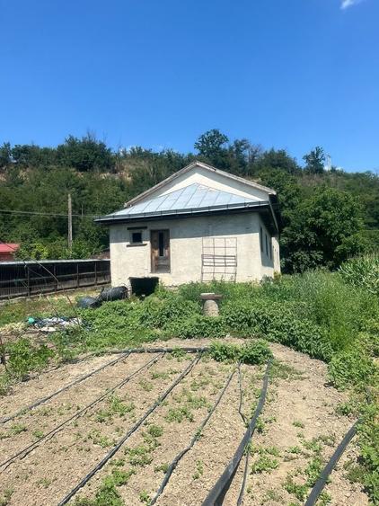 Casă cu 4 camere în Dieneț