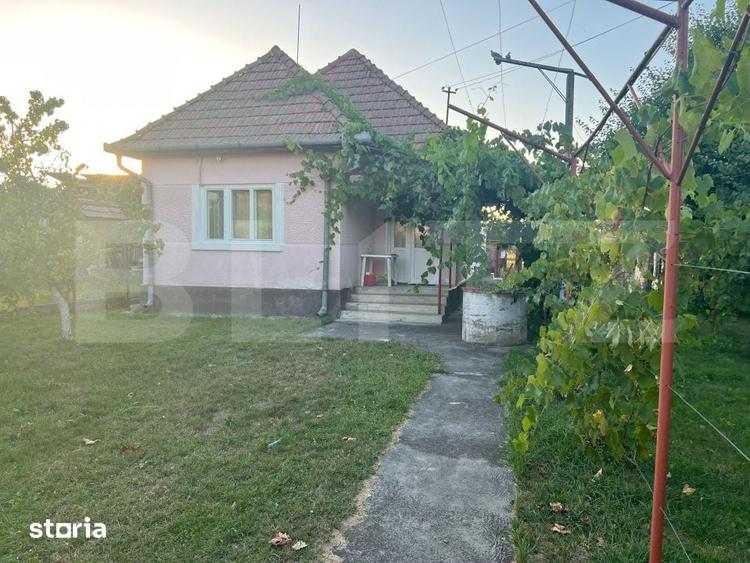 Casă cu 2 camere cu Teren 1414 Mp în Criș