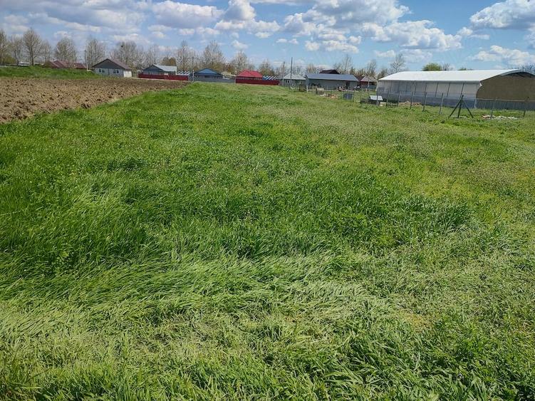 Teren de 2500 mp, în Gropeni
