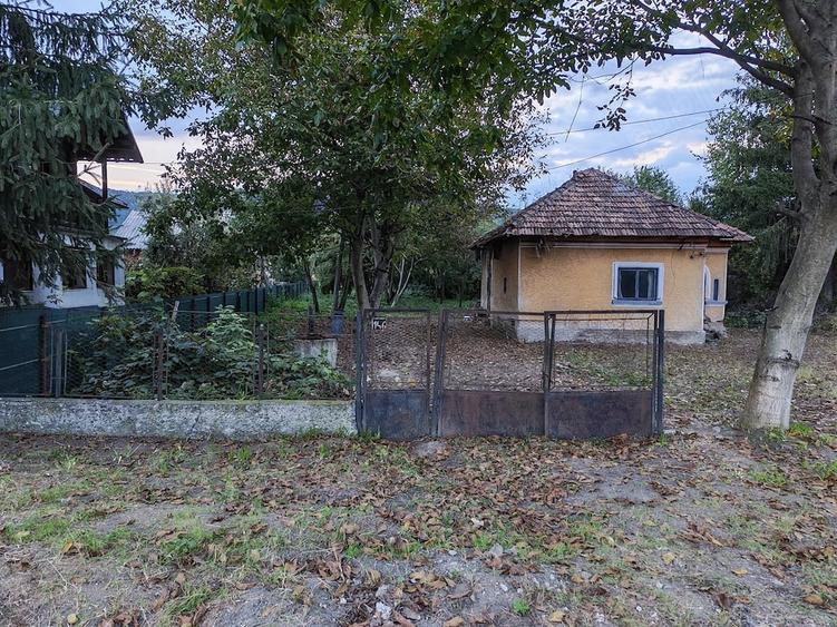 Teren de 5000 mp, în Central