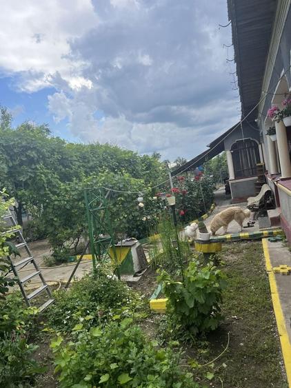 Casă cu 4 camere în Comana