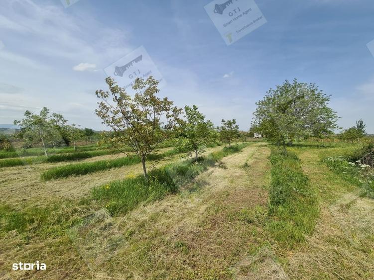 Casă cu 4 camere semidecomandat în Diocheți-Rediu