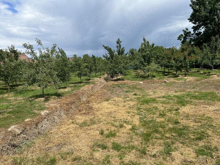 Casă cu 6 camere cu Teren 2700 Mp în Bocsig