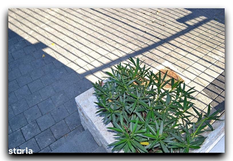 Apartament cu 2 camere în Centrul Istoric