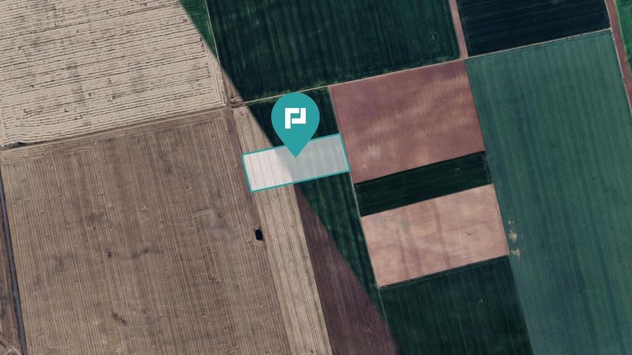 Teren agricol extravilan de 43800 mp, în Șimand