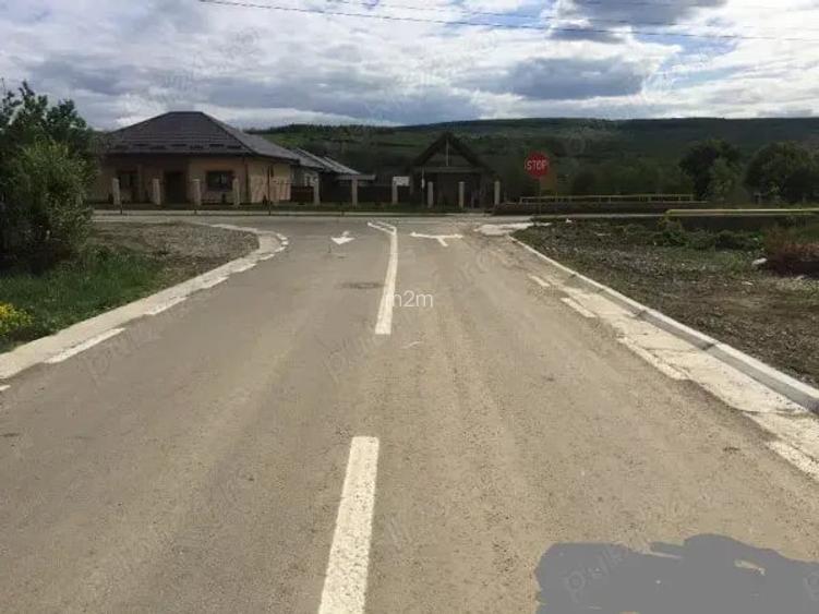 Dau in folosinta & Asociere 5000 m teren Tomesti -Podul Vatafului str. Releu langa Padure