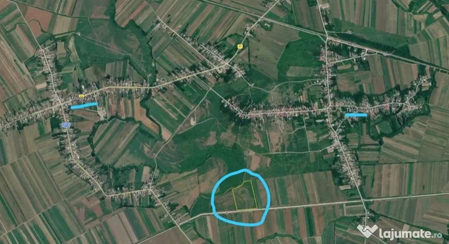 Vand Teren 46.400 mp ?i 30.000 mp Matasaru - 1